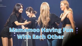 Mamamoo Having Fun With Each Other