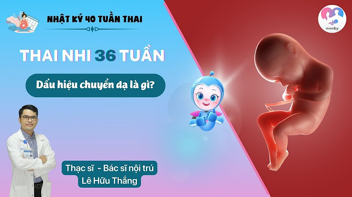 Bao nhiêu tuần thai nhi chuyển động trong bụng năm 2024