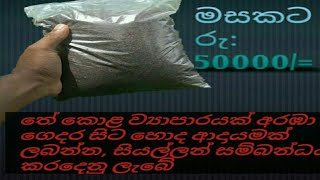 swayan rakiya(ස්වයං රැකියා ) bisness idea