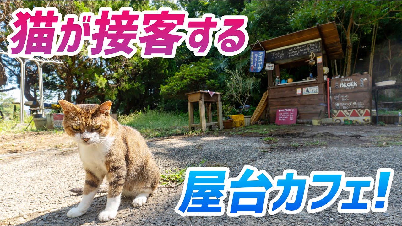 【モトブログ】映えスポットに猫が接客する屋台カフェが出現!? 富津の隠れ家的お店④【クロスカブ110】