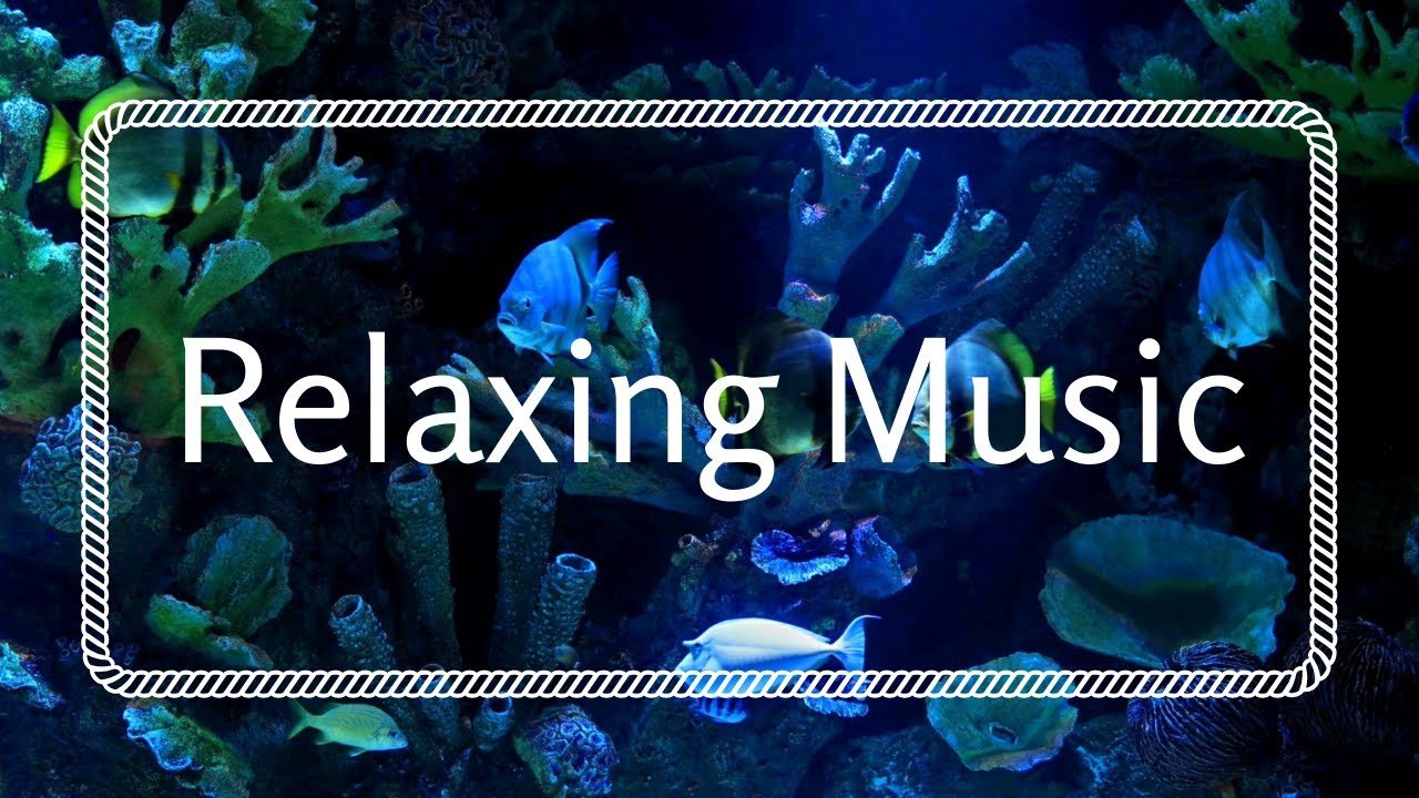 Aquarium Relaxing Music for Sleep, Study, Meditation & Yoga • 7 HOURS