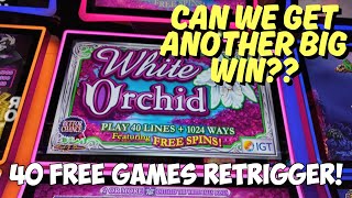Retriggers Would Not Stop on this White Orchid Slot Machine! BIG WIN!