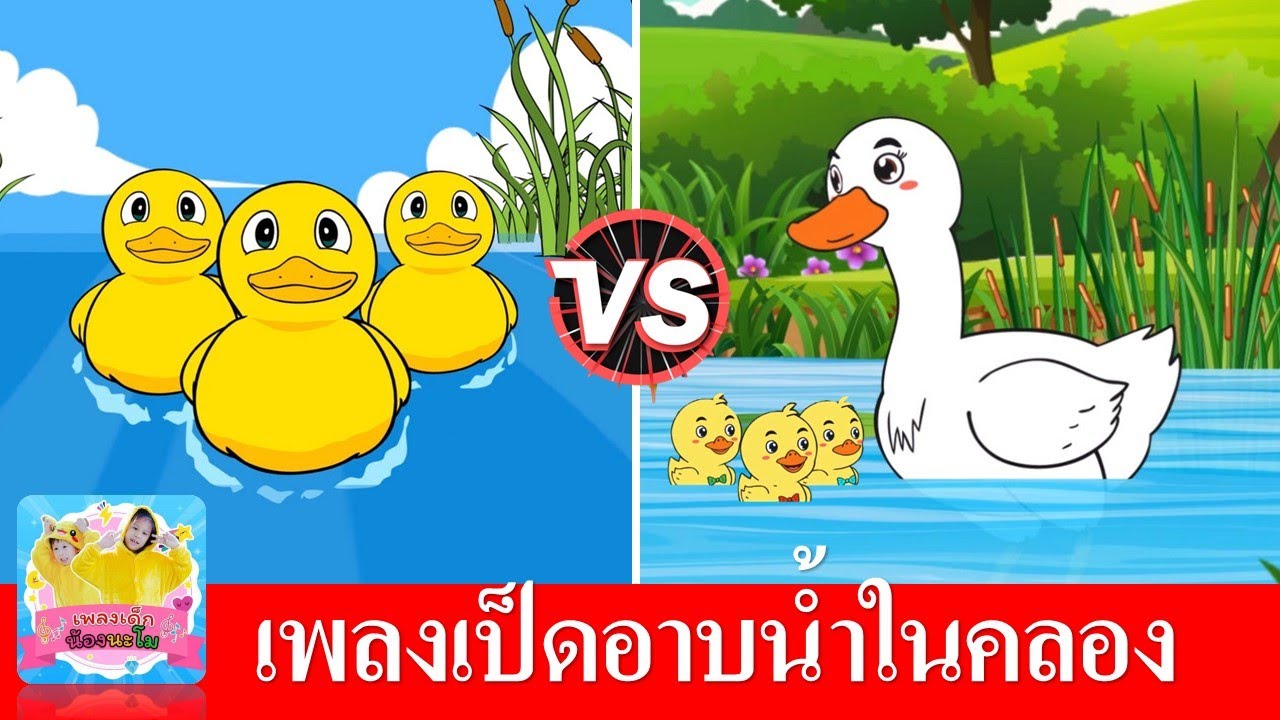 เพลงเป็ดอาบน้ำในคลอง | เป็ดเหลือง vs เป็ดขาว | สอนเด็กๆเรียนรู้เรื่องสี | เพลงเด็กในตำนาน