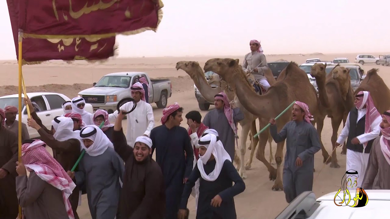 منقية خالد مبارك الغشام / مزاين العوازم (الموسم السادس) ( تصوير أفراح العوازم )