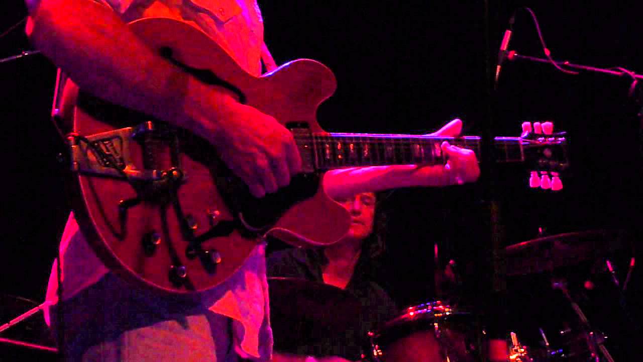 The Mother Hips - White Falcon Fuzz