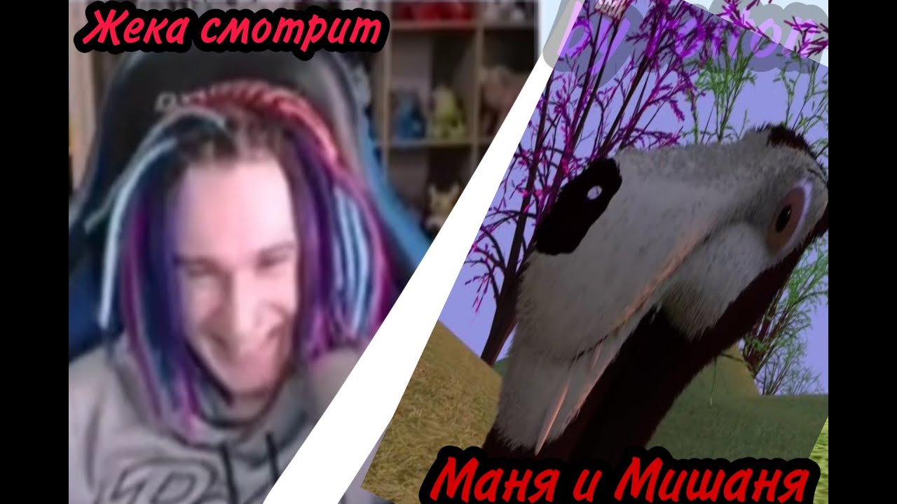 ЖЕКА СМОТРИТМАНЯ И МИШАНЯ!SNDKРолтонНарезки Жеки