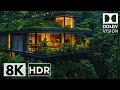 Apex Visual — 8K Dolby Vision OLED Test 120fps | Next-Gen HDR Brilliance