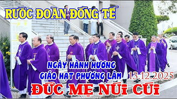 Long Trọng Rước Đoàn Đồng Tế Ngày Giáo Hạt Phương Lâm Hành Hương Đức Mẹ Núi Cúi 13/12/2025