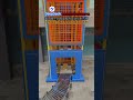 Continuous Vertical Conveyor