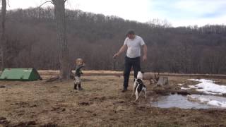 Papa, Isaiah and the dogs playing in the puddles (March 2014)