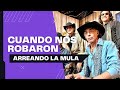 Los Felinos - 🐴 Cuando nos robaron Arreando La Mula 🐎