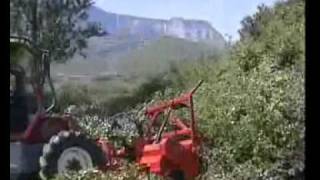 Mattcom - Forestier