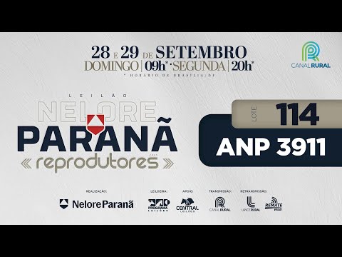 LOTE   114 ANP 3911
