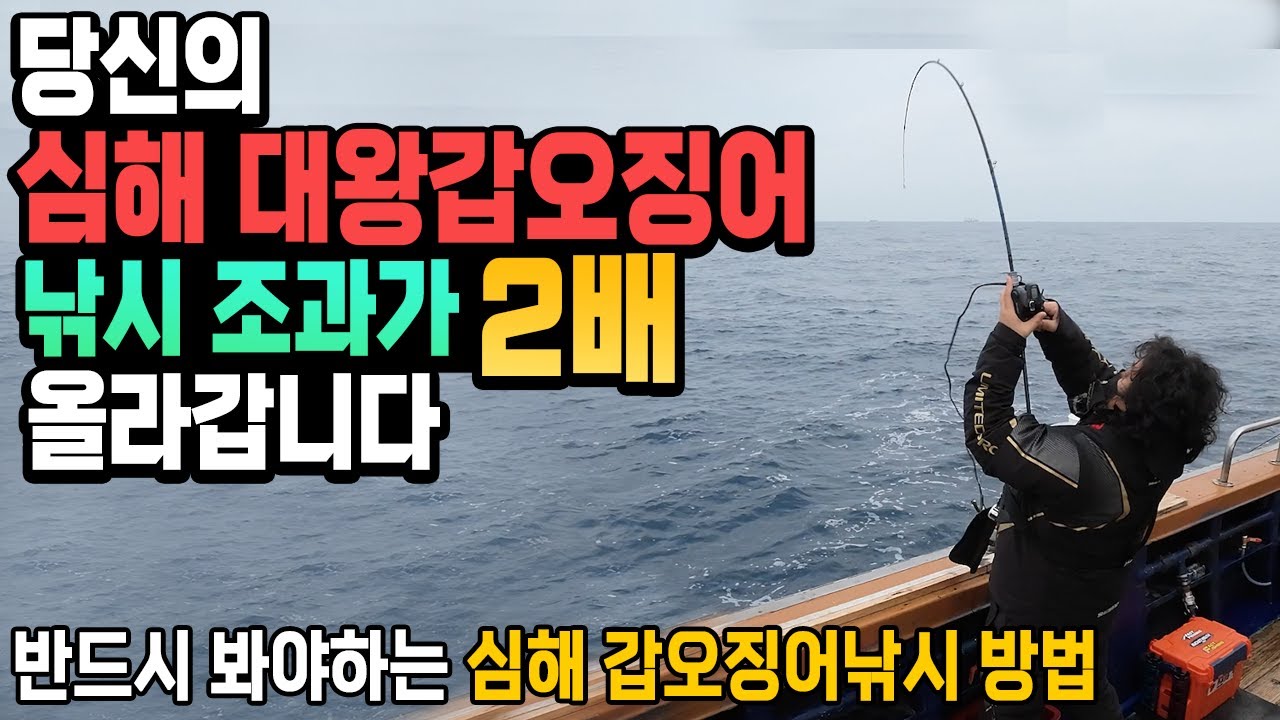 심해 대왕 갑오징어 낚시하는 방법과 조과를 올릴 수 있는 꿀팁 (feat.초보자 필독 강의영상)