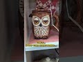 An Owl Mug #owl  #obscura #thrift