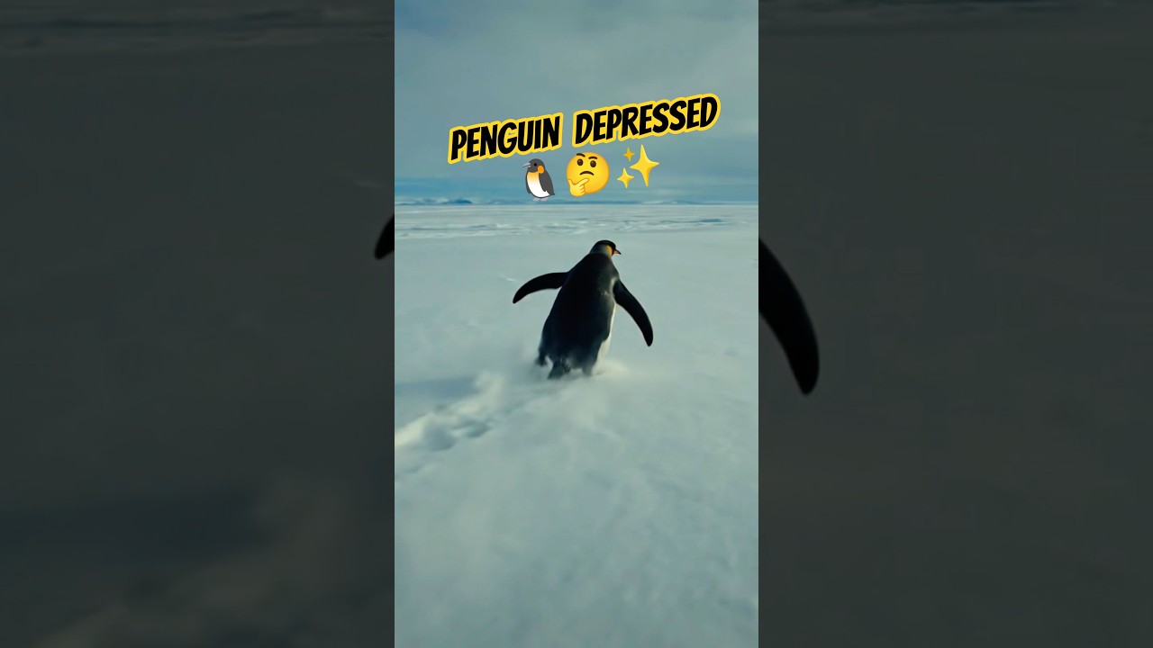 Depressed Penguin 🐧😔✨ 