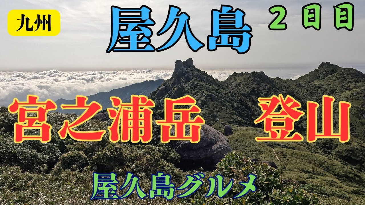 屋久島宮之浦岳登山　日本最南端の百名山 高層湿原の花之江河でヤクシマザル