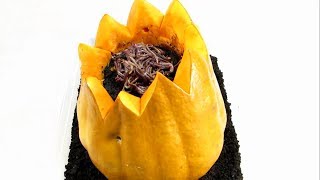 Worms Vs Pumpkin. 20 Day Time Lapse