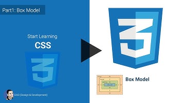CSS Tutorial (Box Model)