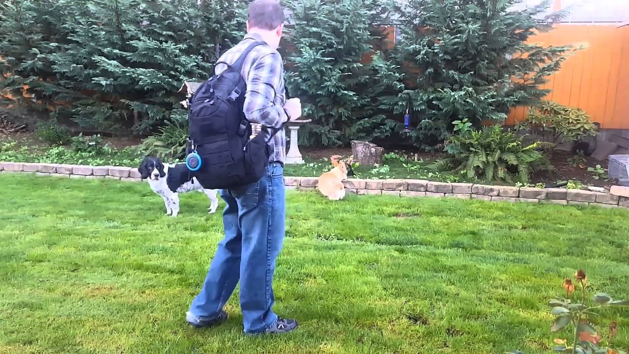 QDOS Q-PUK Waterproof IP67 Portable Bluetooth Speaker Review gaming logo