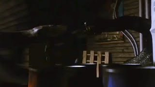 python 2 (2002) male and female snake screen time