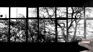 Ludovico Einaudi - Walk (Phaeleh Remix)