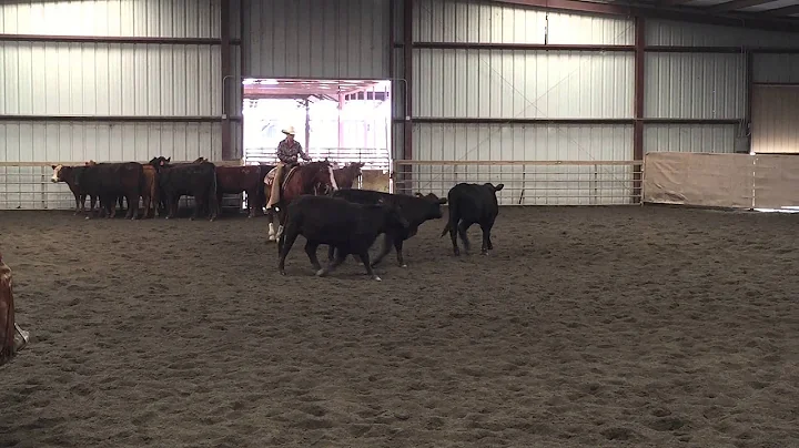 Donna Padula riding Tanner March 22 2015 Marenco R...