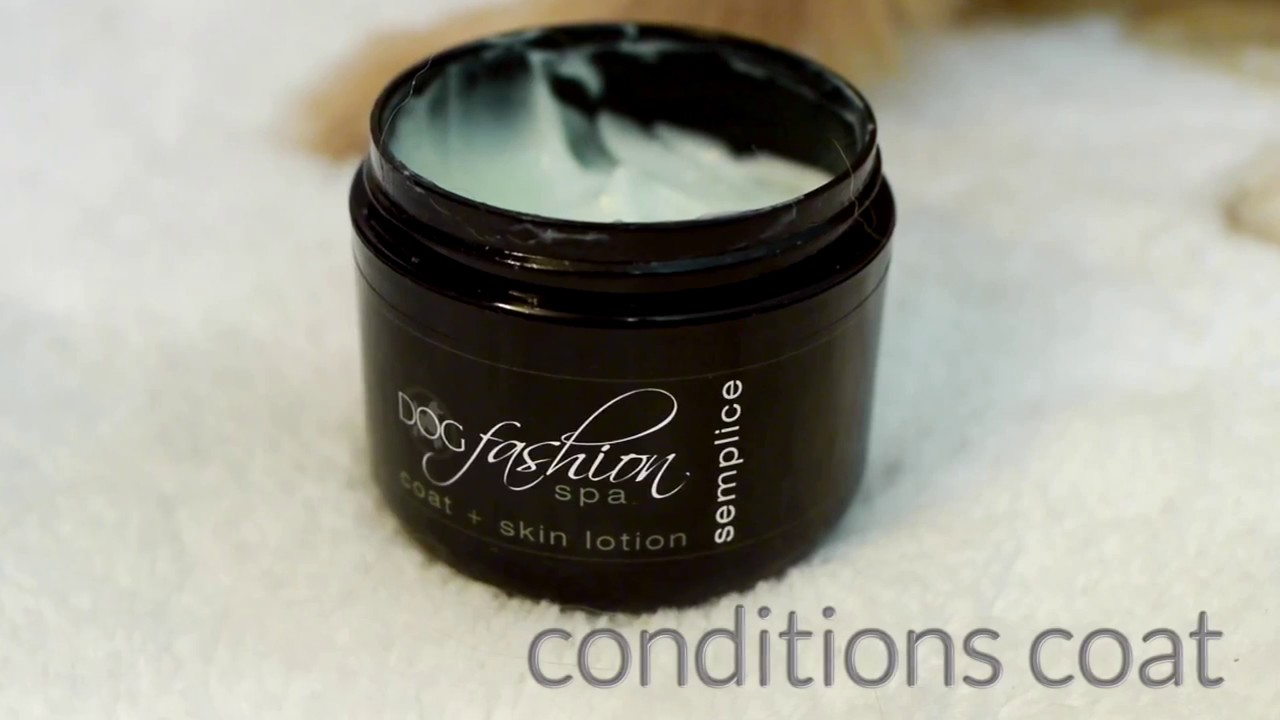 Dog Fashion Spa Dog Coat and Skin Lotion Semplice YouTube