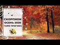 СКОРПИОН ♏ ОСЕНЬ 2020 🍁: НЕВЫПОЛНЕННЫЕ ОБЕЩАНИЯ 🥀 | ТАРО ПРОГНОЗ на СЕНТЯБРЬ, ОКТЯБРЬ, НОЯБРЬ 2020.