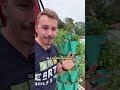 Garden tips DIY 1001 #viral #herbs #gardening #plants #raisedbeds #garden #gardeningtips