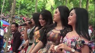 Istimewa  - All Artist.   NEW PALLAPA IPANG 2017