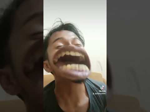 tiktok konyol