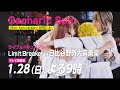 Gacharic Spin - 【SPOT】ライブ&ドキュメント Limit Breaker in 日比谷野外大音楽堂