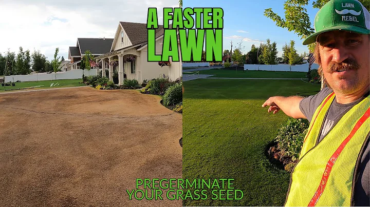 HOW TO PREGERMINATE GRASS SEED for a FASTER LAWN