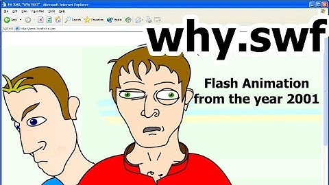 why.swf - April 3, 2001 - Early Flash Animation