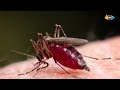 ሰው ሰራሹ ወባ :Ahadu TV