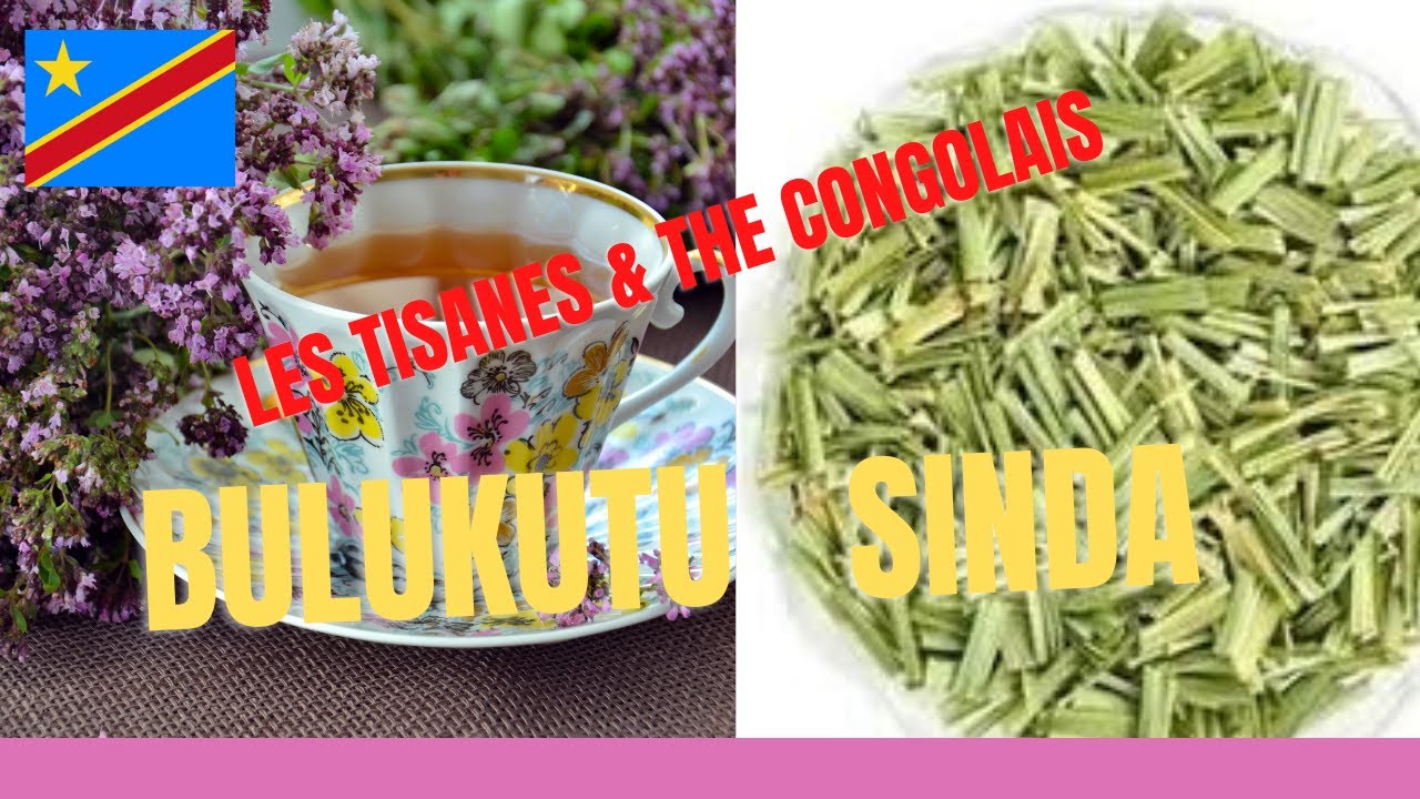 🌴BULUKUTU & SINDA : Les Tisanes et Thés de la RDC - Secrets d ...