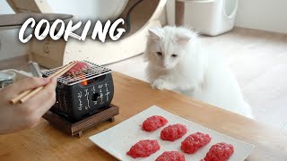 Tuna for cats | Norwegian forest cat by Norwegian Forest Cats 981 views 2 years ago 2 minutes, 41 seconds