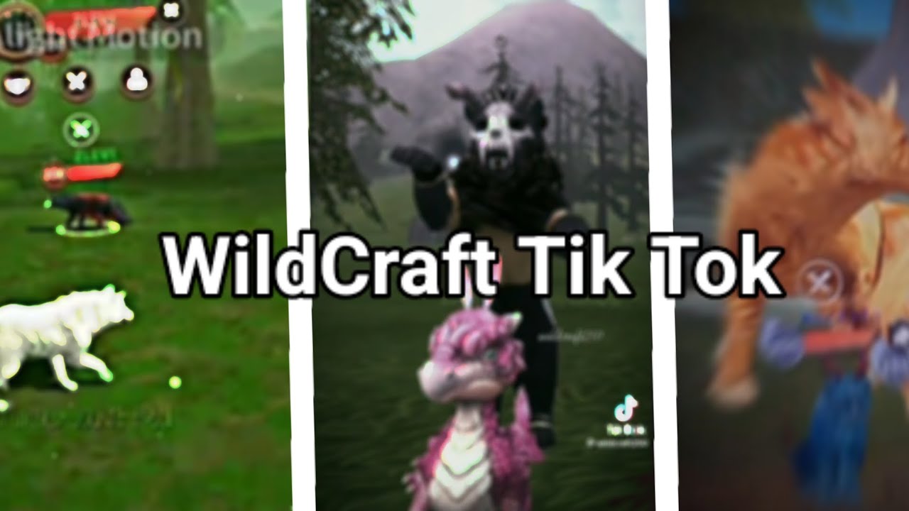WildCraft Tik Tok [3/?] YouTube