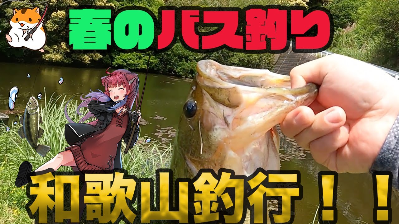 【バス釣り】秘境の野池がヤバすぎ！？　和歌山野池釣行