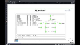 Using DNS Wildcards, 10 November 2022