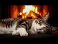 11 Hours Calming Cat Purring ASMR | Warm Fireplace Sounds for Deep Sleep