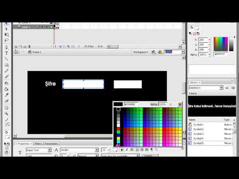 Adobe Flash ile