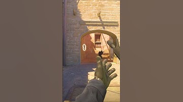 THE DUMBEST CHEATER IN CS2!