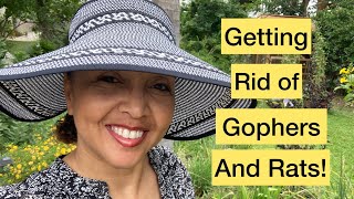 Getting Rid of (killing) Gophers and Rats!