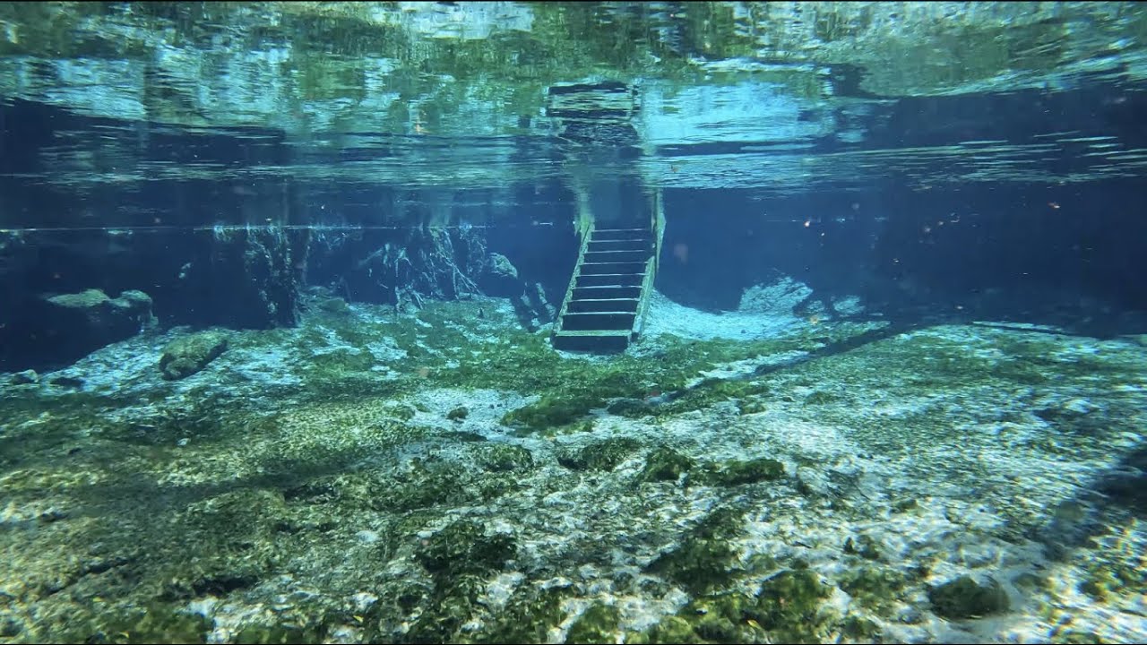Florida Springs Snorkeling YouTube