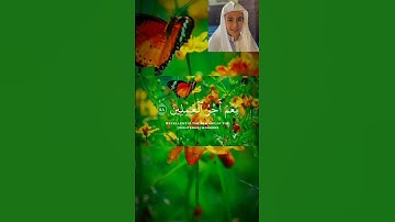 سورة العنكبوت الأية ٥٨ القارئ الشيخ عبد الرحمن مسعد