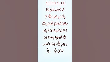Surah Al-Fil ( Ep 18 )| سورة الفيل Chapter 105 Quran Tilawat beautiful reaction