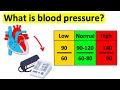 Understanding Blood Circulation and Pressure
