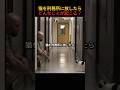 猫を刑務所に放したらどんなことが起こる？